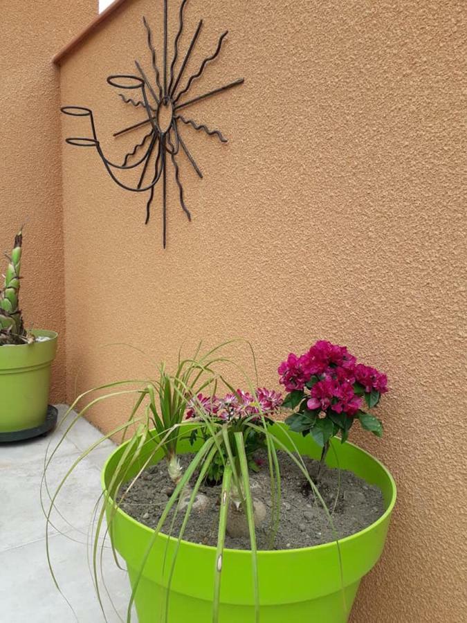 Lili Villa Ceret Exterior photo